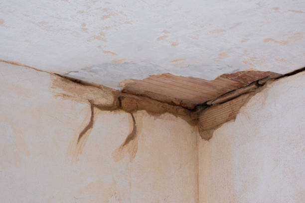 Best 24/7 water damage repair  in Barron, WI