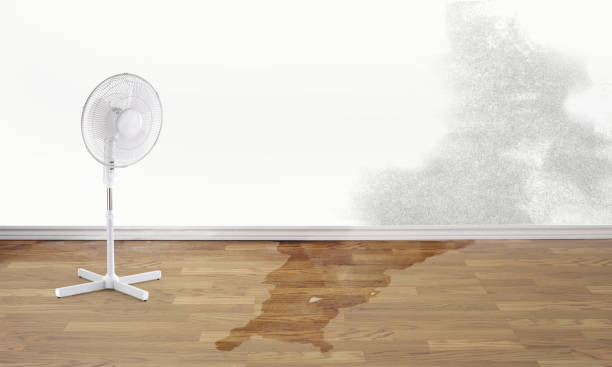 Water damage restoration mold remediation in WI
