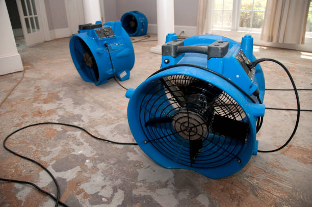 Best Commercial water damage restoration  in Barron, WI