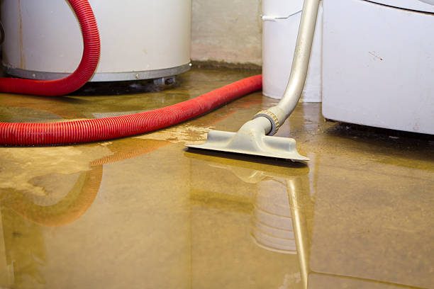 Carpet water damage restoration in WI