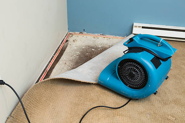 Best Flood damage cleanup  in Barron, WI